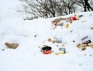 Глава Сердобского района заявил, что уборка мусора в приоритете