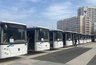 В Пензе приняли решение не перекрашивать в зеленый цвет новые автобусы